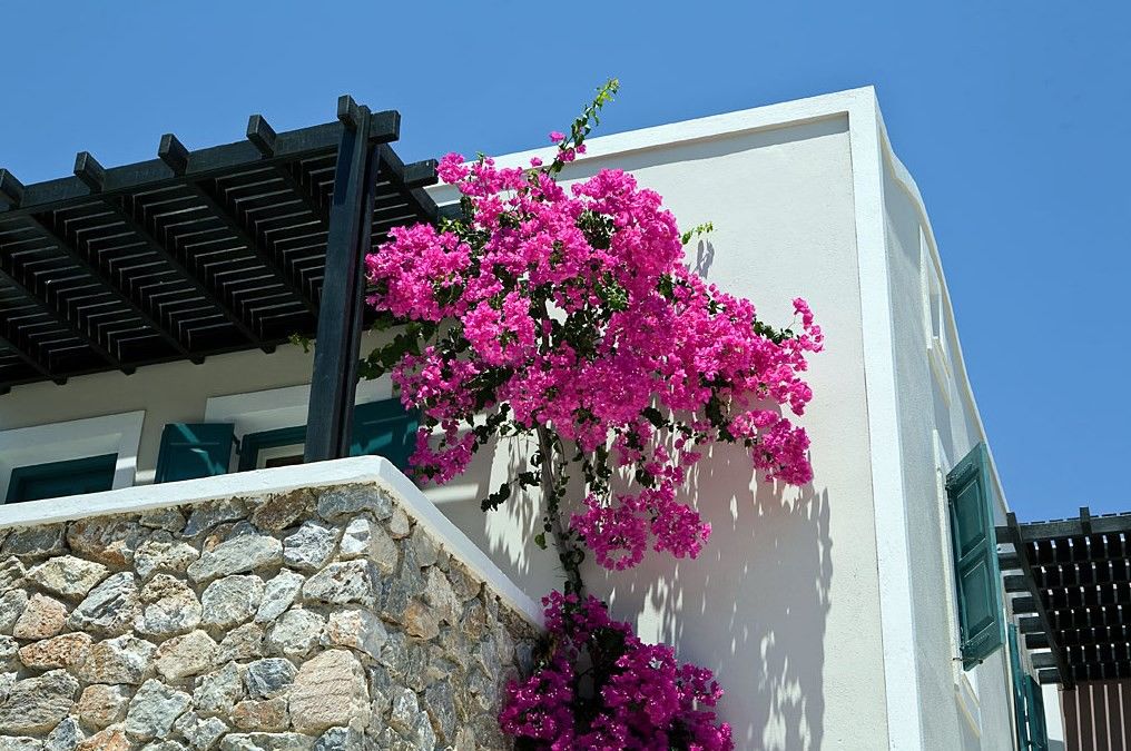Rose Bay Hotel Kamári Екстериор снимка